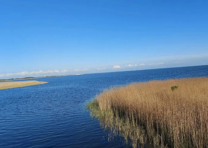 Feriehus 4 Star In Ringkobing-by Traum Ringkøbing