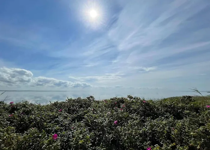 4 Star In Ringkobing-by Traum *