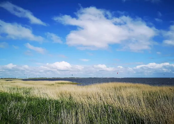 4 Star In Ringkobing-by Traum * Ringkøbing